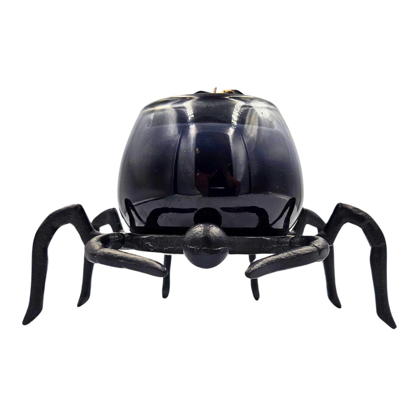 Hocus Pocus Spider Large